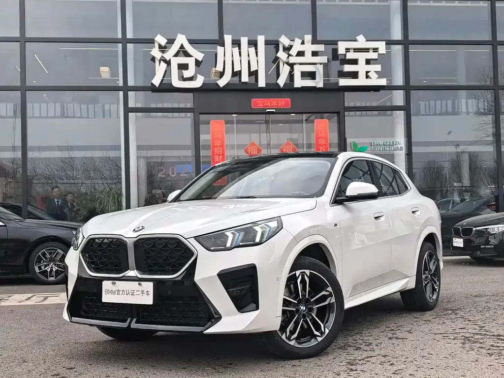 BMW X2 (Import) — фото 1