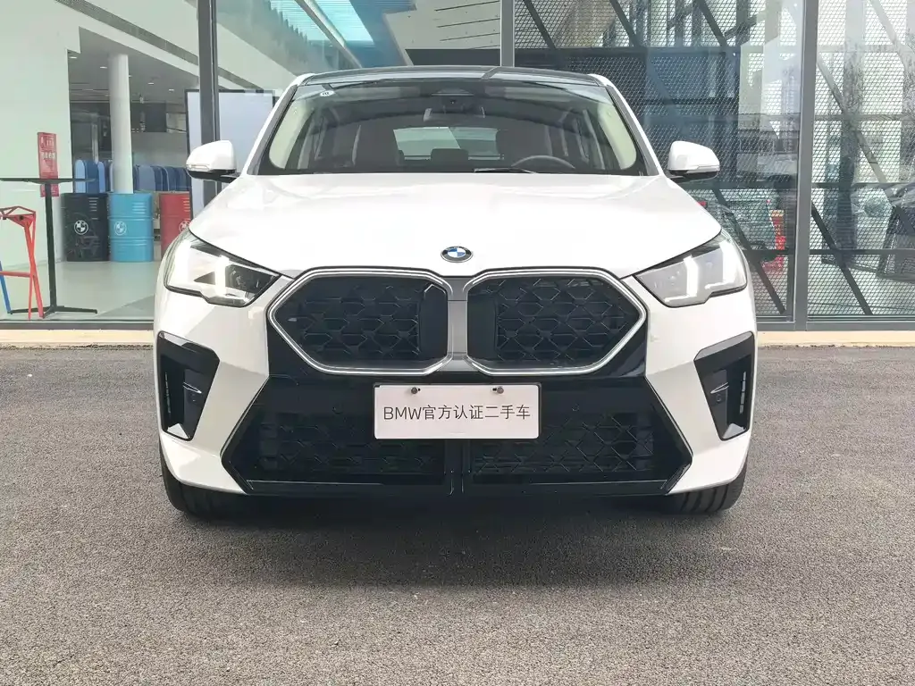 BMW X2 (Import) — фото 10