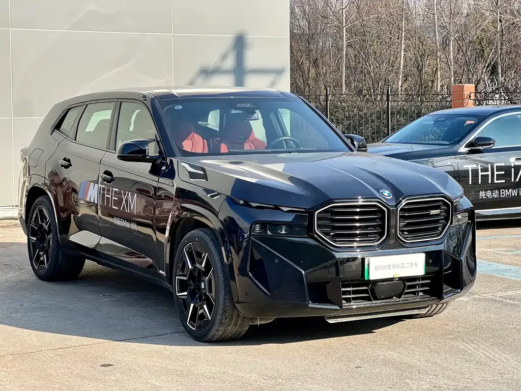 BMW XM — фото 10