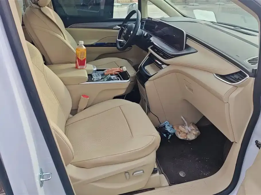 Buick GL8 Hybrid — фото 9