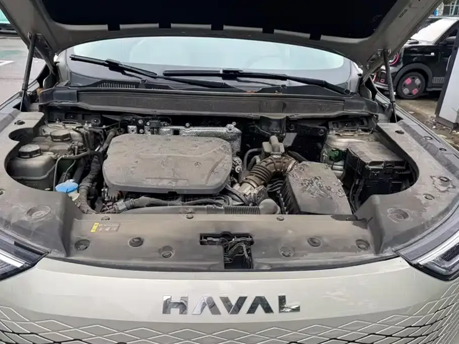 Haval Xiaolong MAX — фото 9