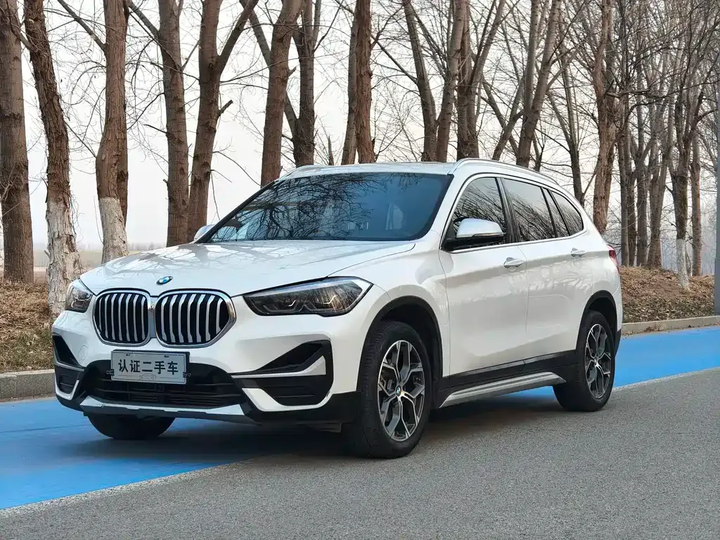 BMW X1 — фото 1