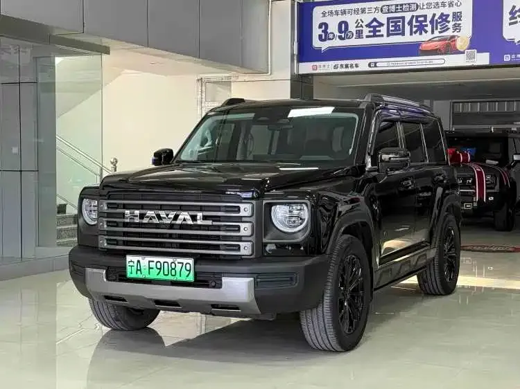 Haval Menglong New Energy — фото 1