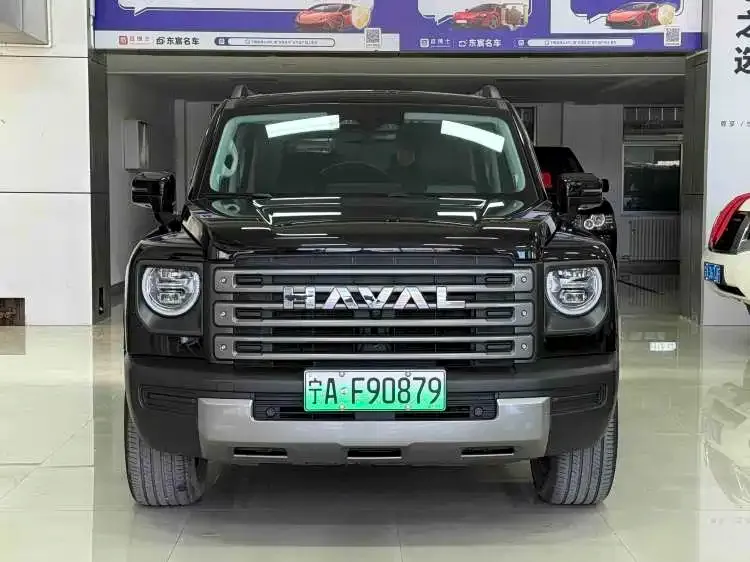 Haval Menglong New Energy — фото 7