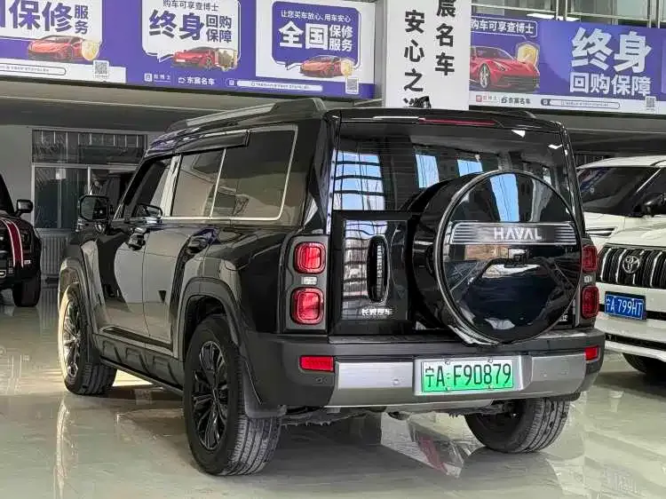 Haval Menglong New Energy — фото 10