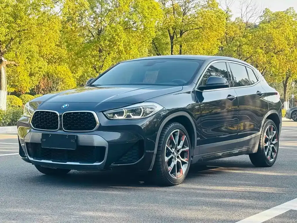 BMW X2 — фото 1
