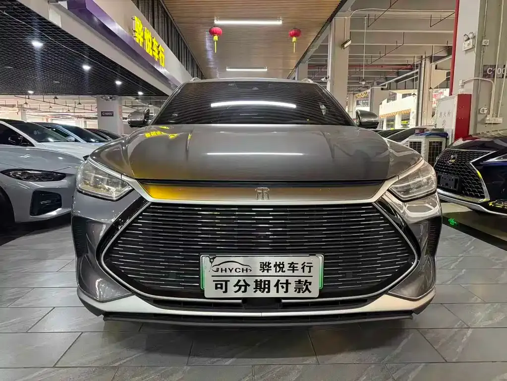 BYD PLUS New Energy — фото 1