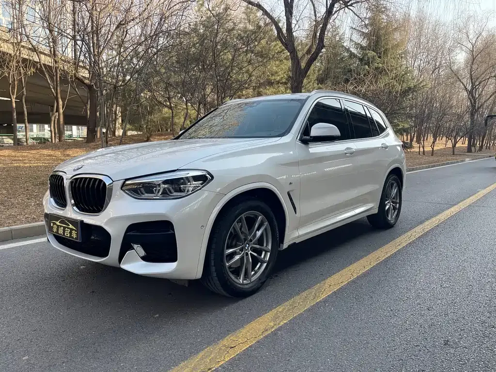 BMW X3 — фото 1