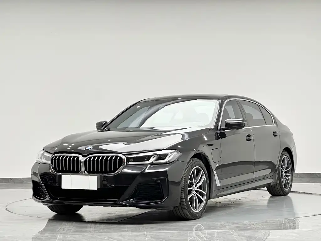 BMW 5 Series New Energy — фото 3