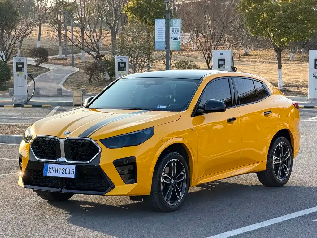 BMW X2 (Import) — фото 1