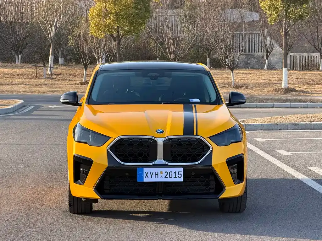 BMW X2 (Import) — фото 9