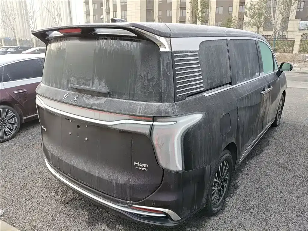 Hongqi HQ9 PHEV — фото 7