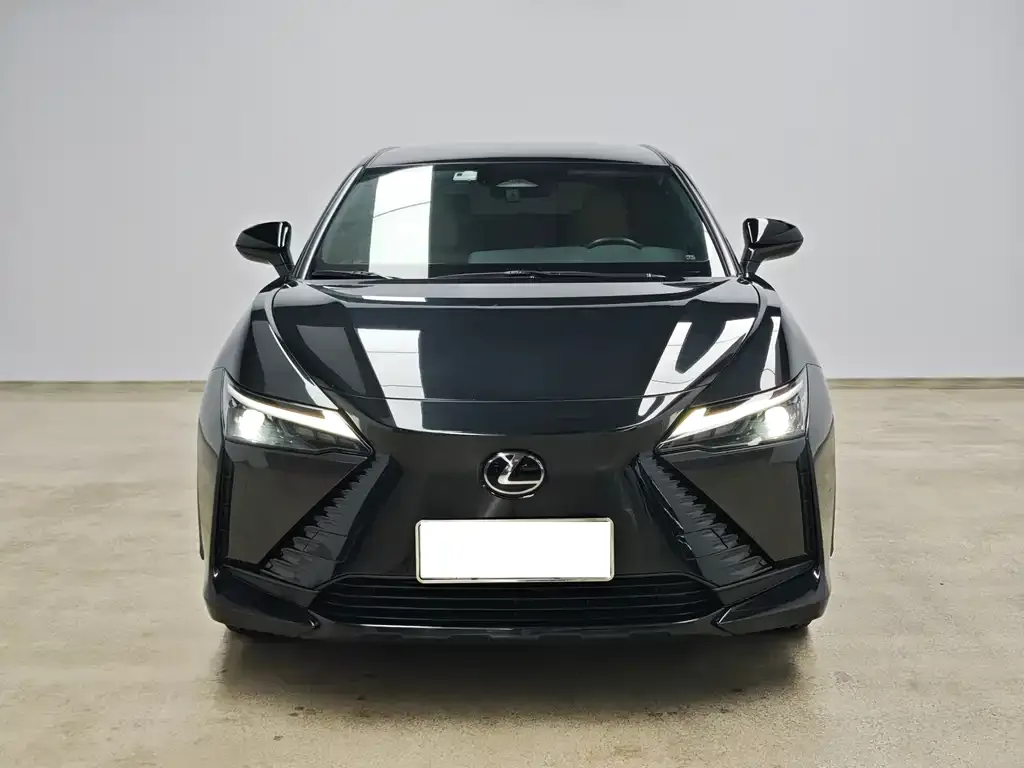 Lexus RZ — фото 6