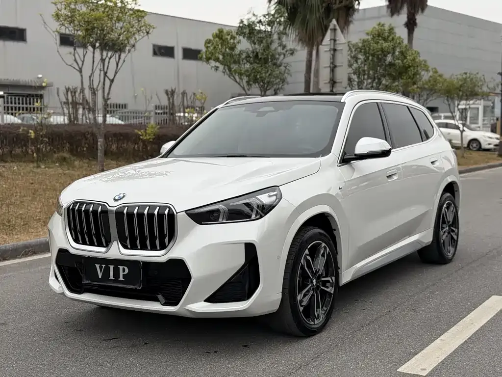 BMW X1 — фото 1