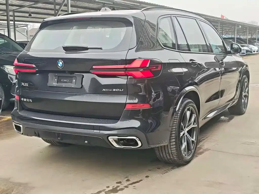 BMW X5 — фото 6