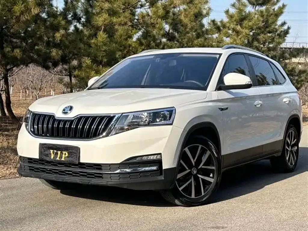 Skoda Kamiq — фото 9