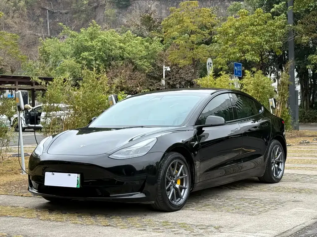Tesla Model 3 — фото 1
