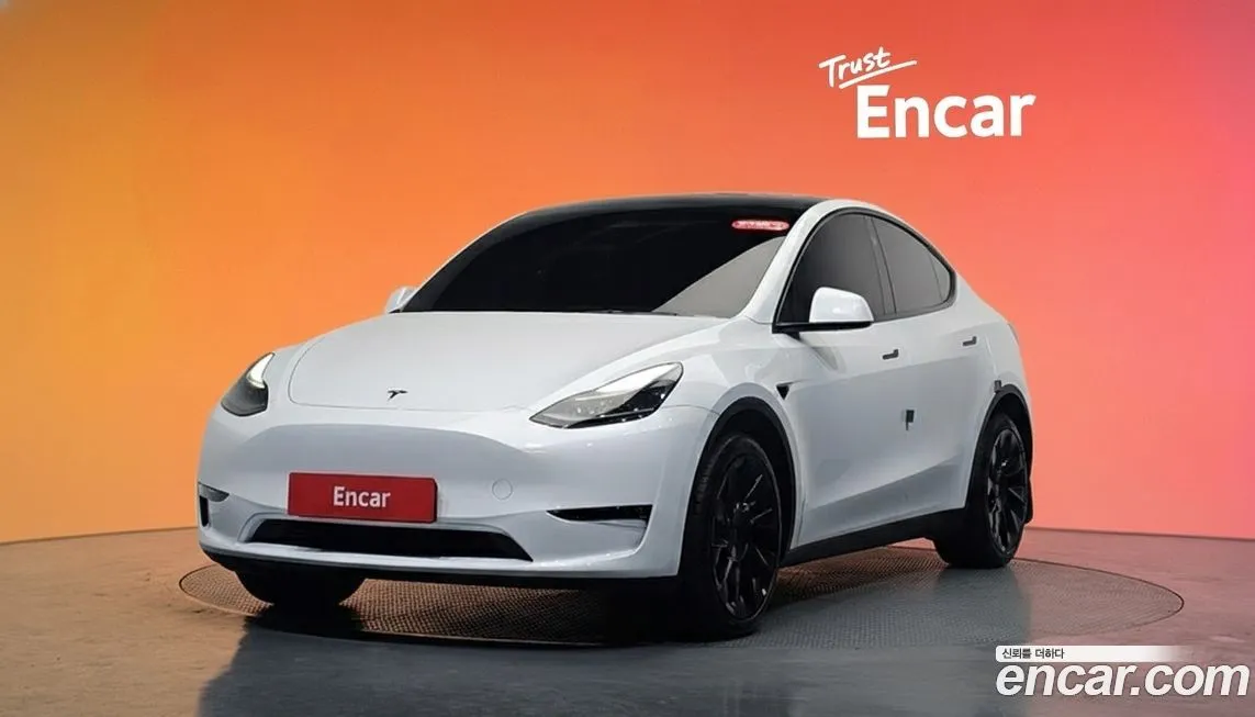 Tesla Model Y — фото 1