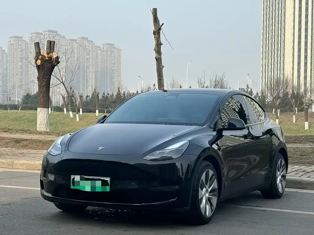 Tesla Model Y — фото 1