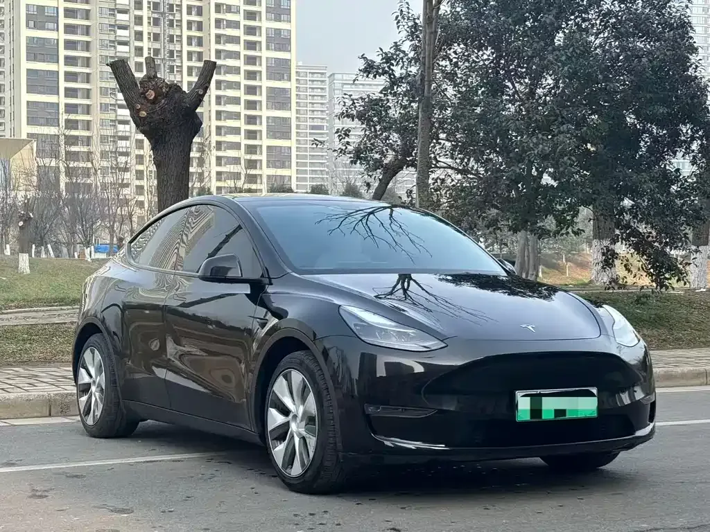 Tesla Model Y — фото 5