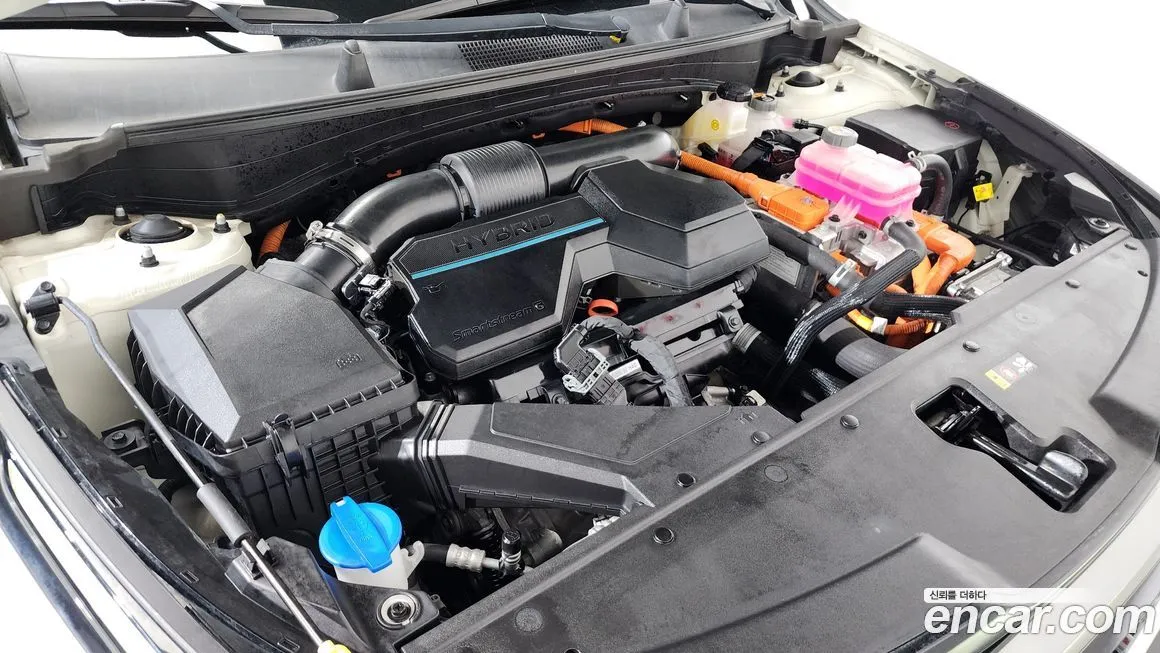 Kia Sportage — фото 9