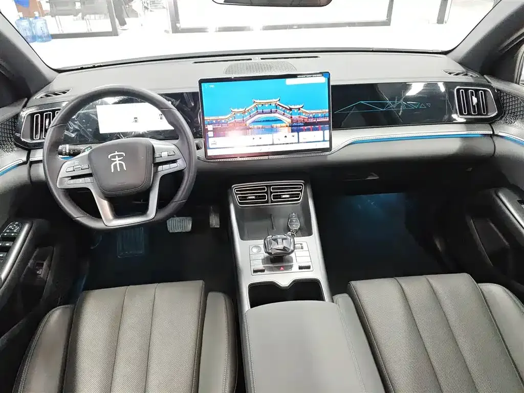 BYD Pro New Energy — фото 9