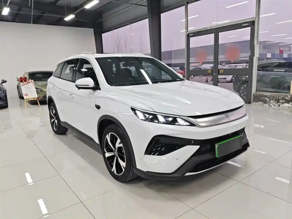 BYD Pro New Energy — фото 4