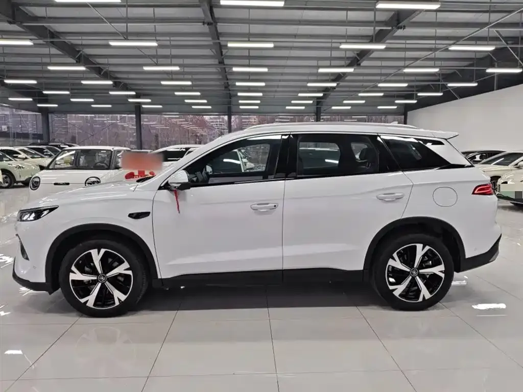 BYD Pro New Energy — фото 3