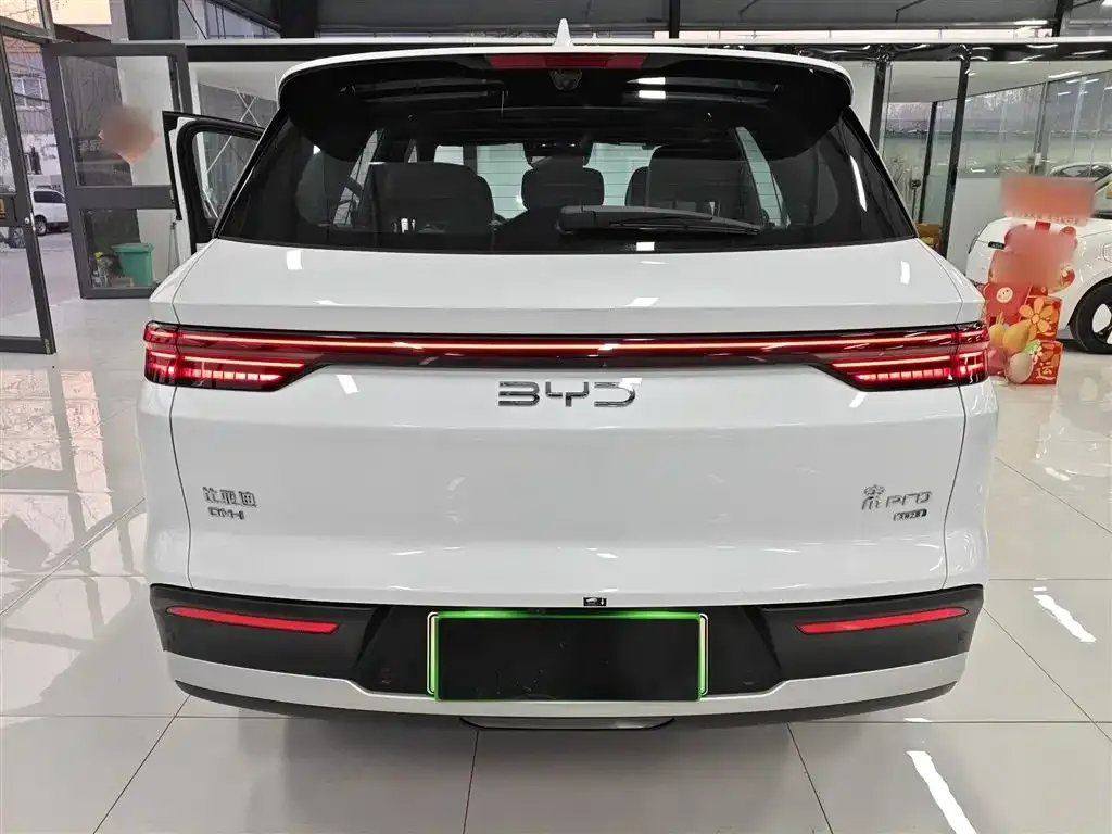 BYD Pro New Energy — фото 8