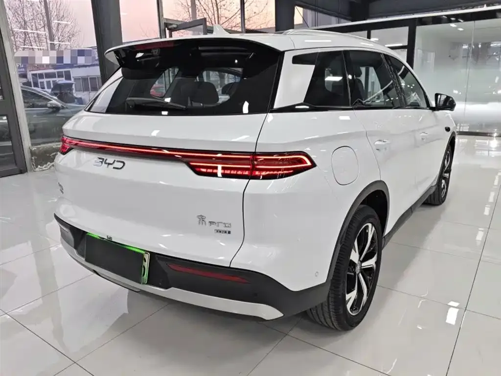 BYD Pro New Energy — фото 6