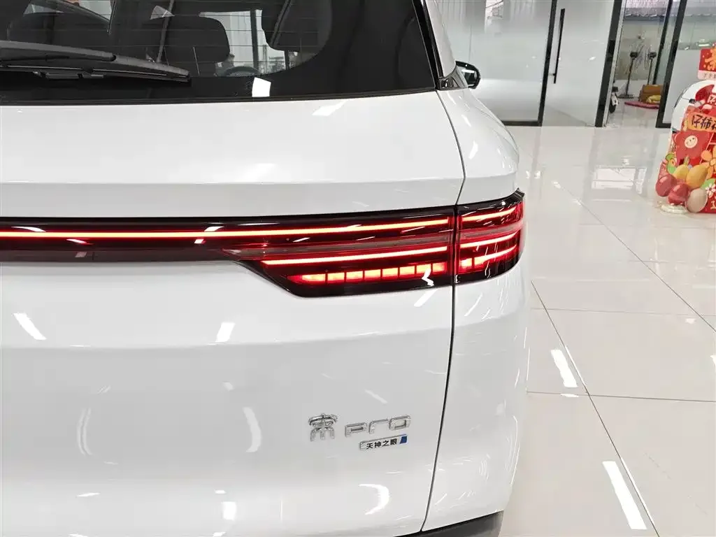 BYD Pro New Energy — фото 7