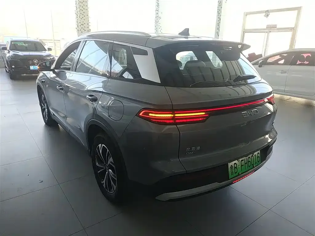 BYD Pro New Energy — фото 7