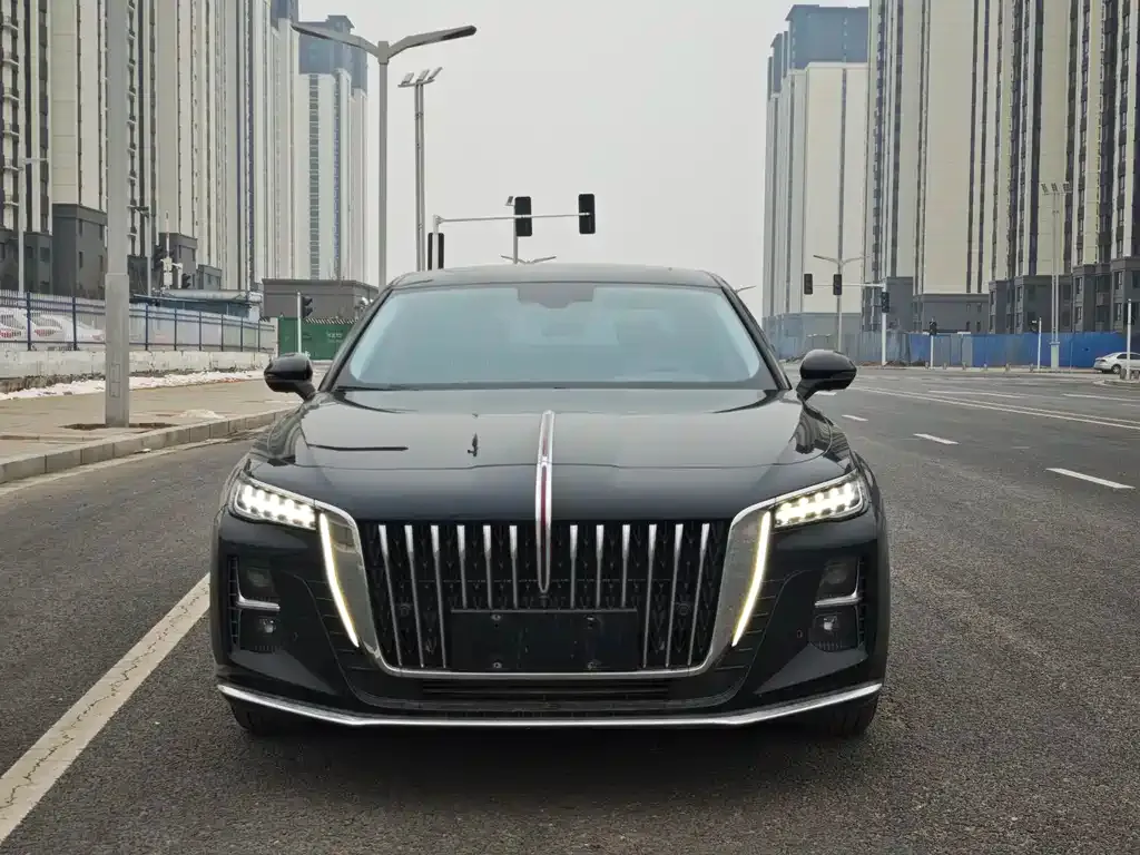 Hongqi H5 — фото 4