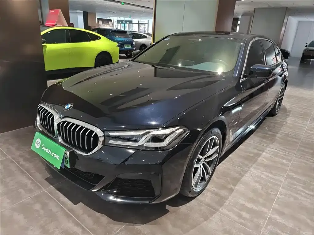 BMW 5 Series New Energy — фото 10