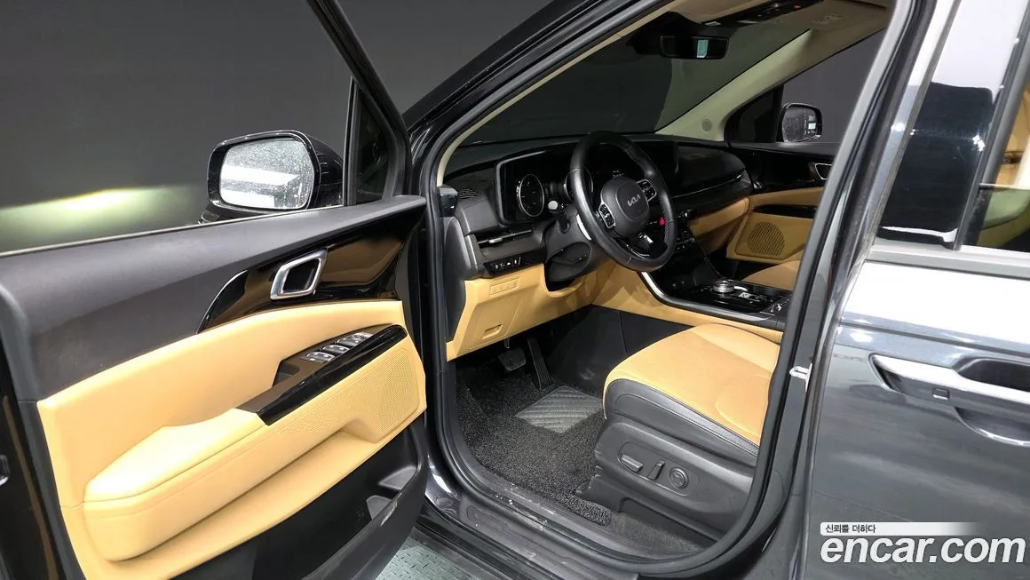 Kia Carnival — фото 10