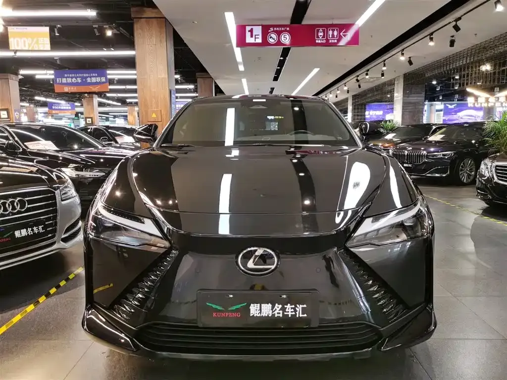 Lexus RZ — фото 10