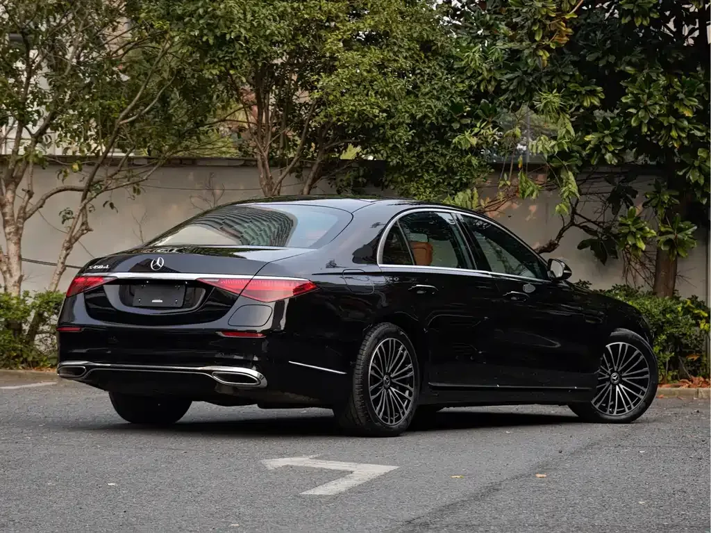 Mercedes-Benz S-Class New Energy — фото 9