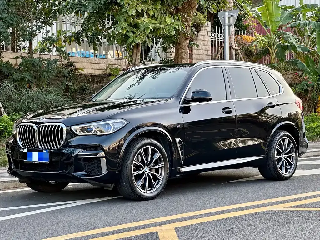 BMW X5 (Import) — фото 6