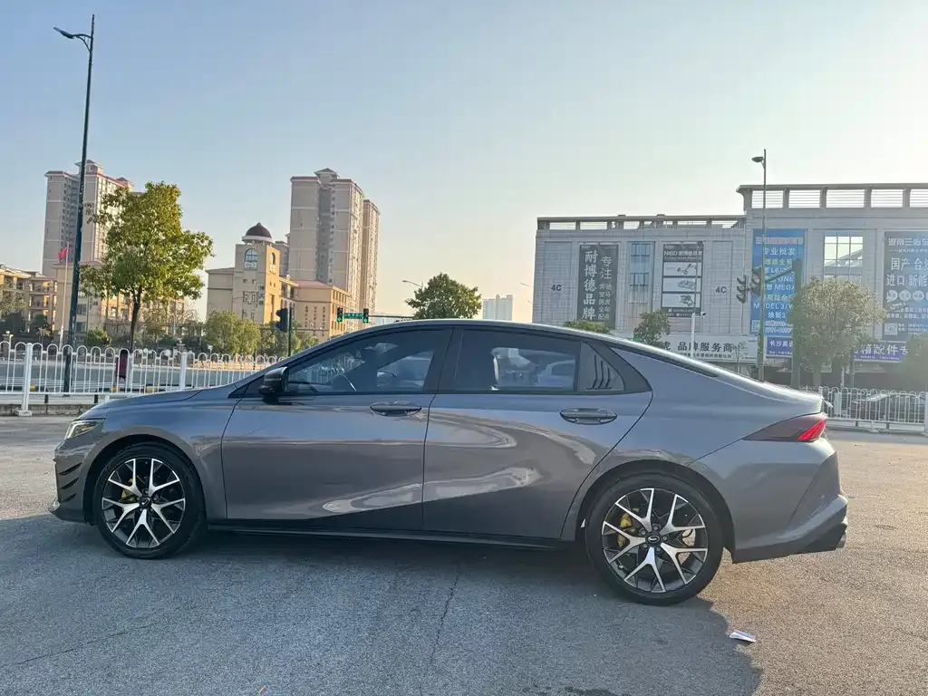 GAC Motor Shadow Leopard — фото 4