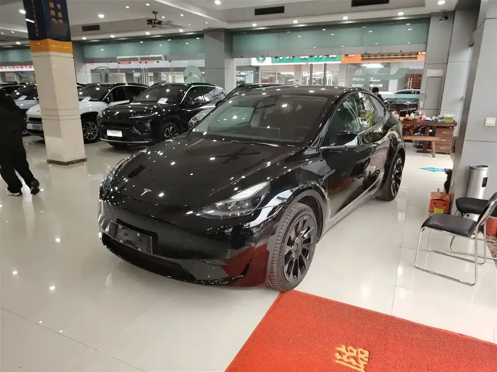 Tesla Model Y — фото 1