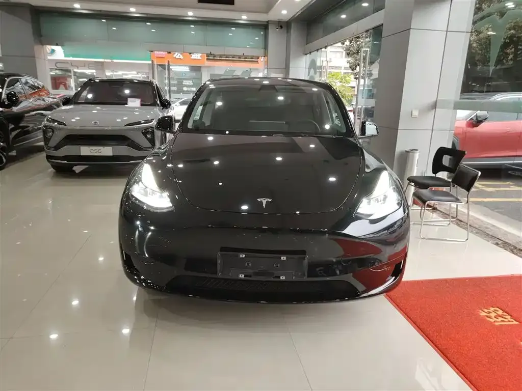 Tesla Model Y — фото 10