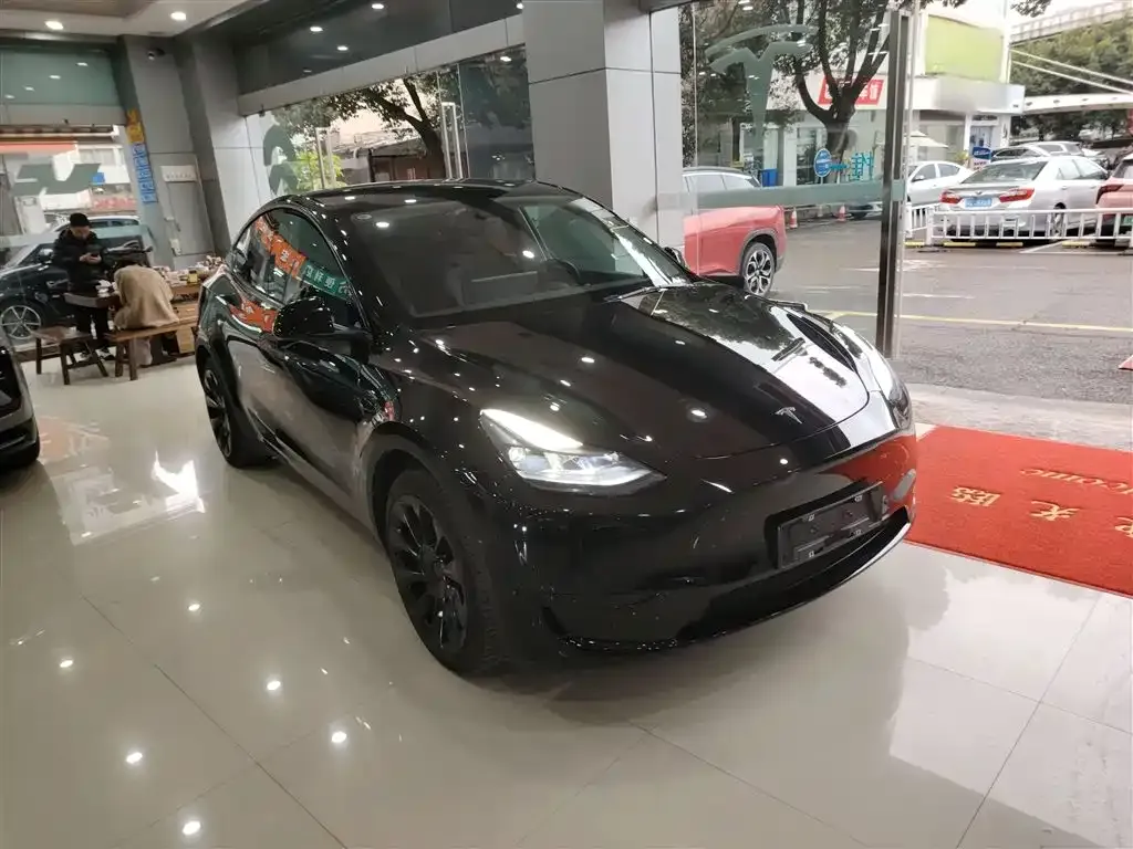 Tesla Model Y — фото 8