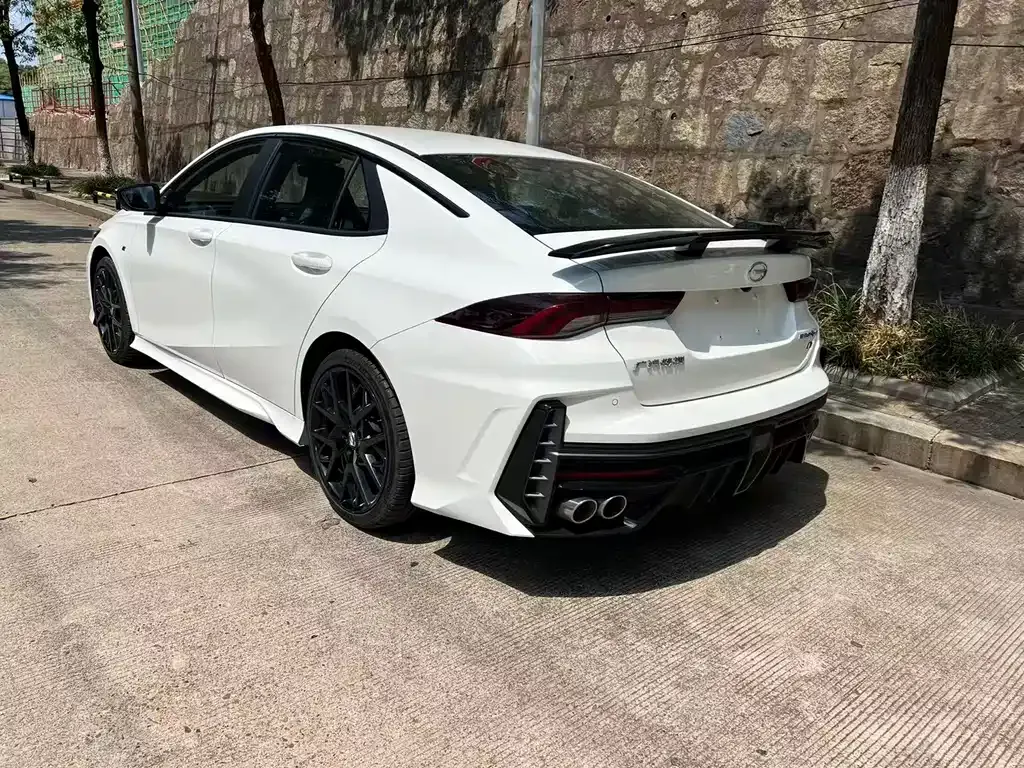 GAC Motor Shadow Leopard — фото 4