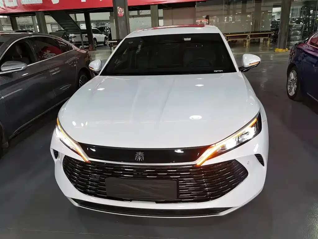 BYD Qin PLUS — фото 2