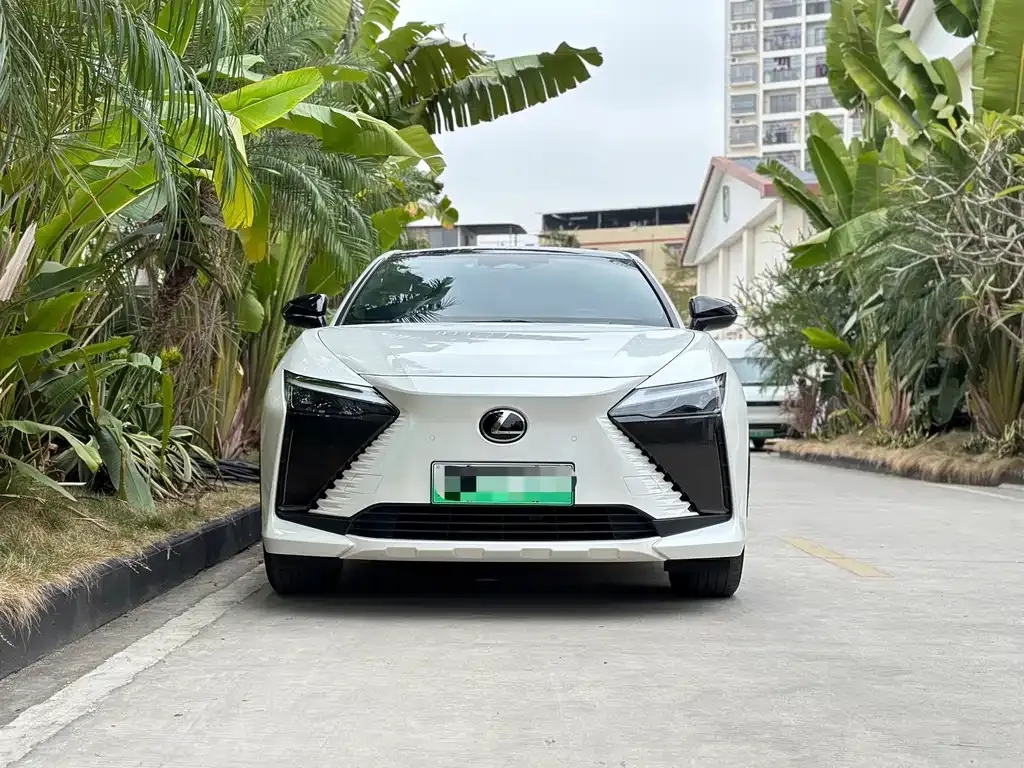 Lexus RZ — фото 6