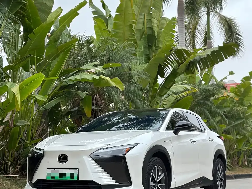 Lexus RZ — фото 5