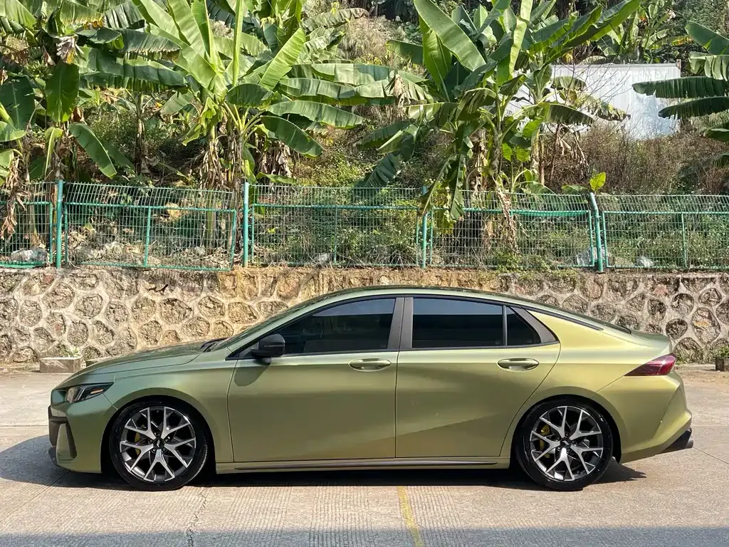 GAC Motor Shadow Leopard — фото 6