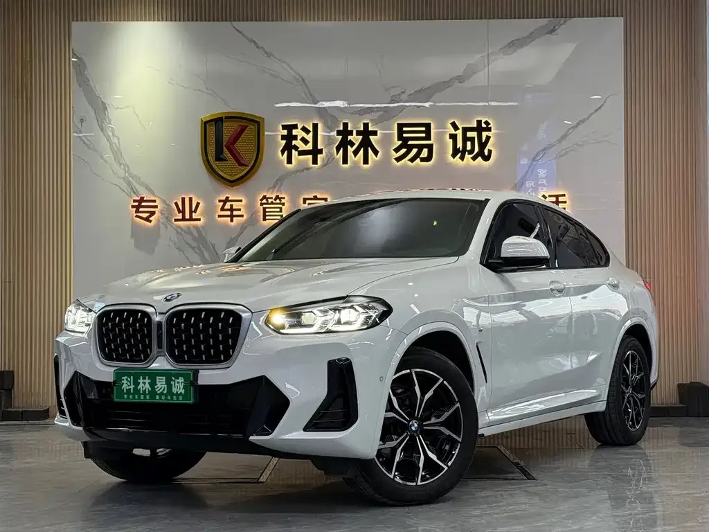 BMW X4 — фото 1