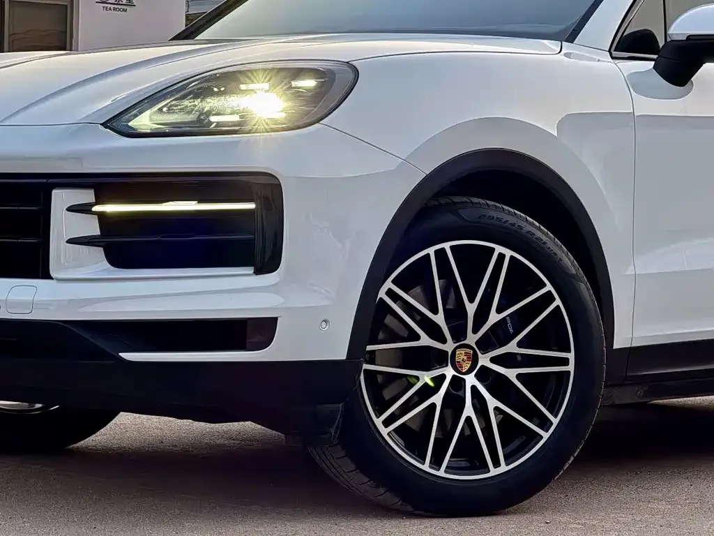 Porsche Cayenne — фото 10