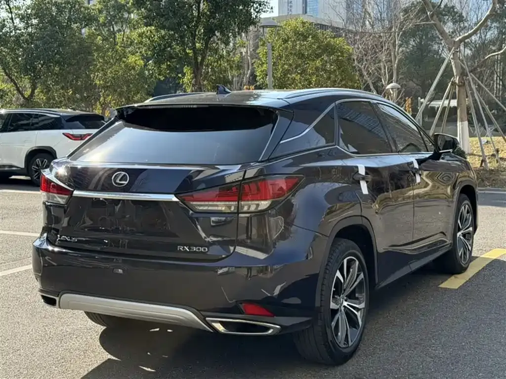 Lexus RX — фото 9